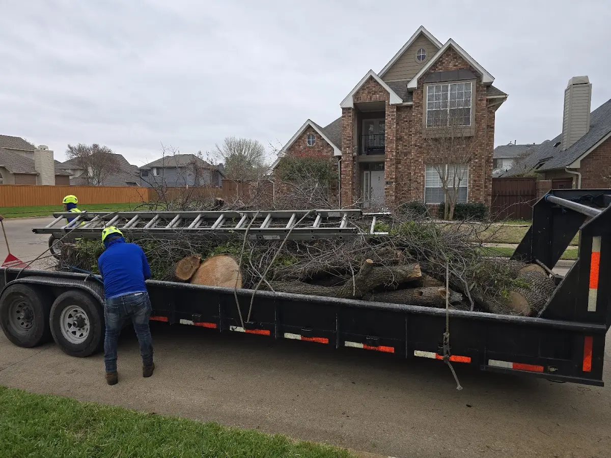 Expert Tree Removal with proper safety equipment in Grand Ridge